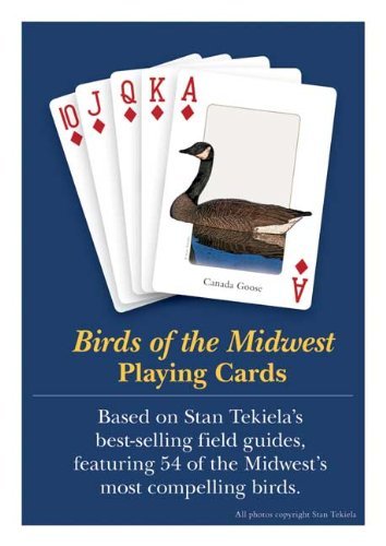 Cover for Stan Tekiela · Birds of the Midwest Playing Cards (Flashcards) [Pcr Crds edition] (2011)