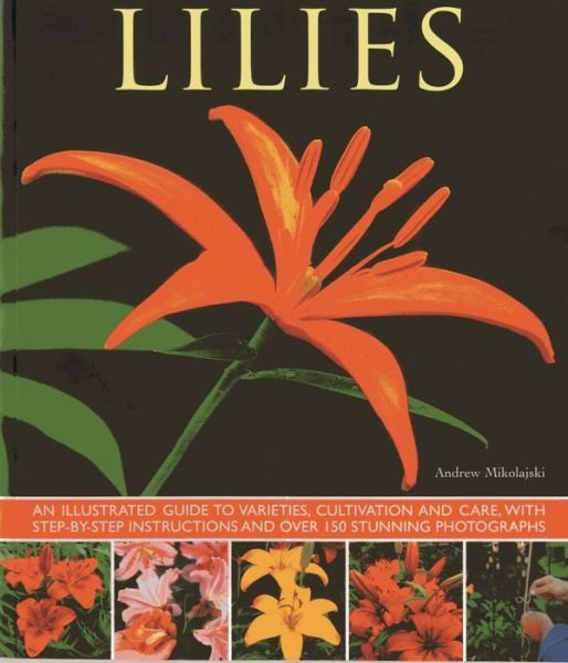 Cover for Andrew Mikolajski · Lilies: An Illustrated Guide to Varieties, Cultivation and Care, with Step-by-step Instructions and Over 150 Stunning Photographs (Paperback Book) (2013)