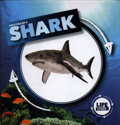 Life Cycle of a Shark - Life Cycle of A... - Kirsty Holmes - Books - BookLife Publishing - 9781786372857 - May 24, 2018