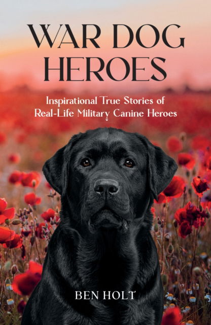 Cover for Ben Holt · War Dog Heroes: Inspirational True Stories of Real-Life Military Canine Heroes (Paperback Book) (2025)
