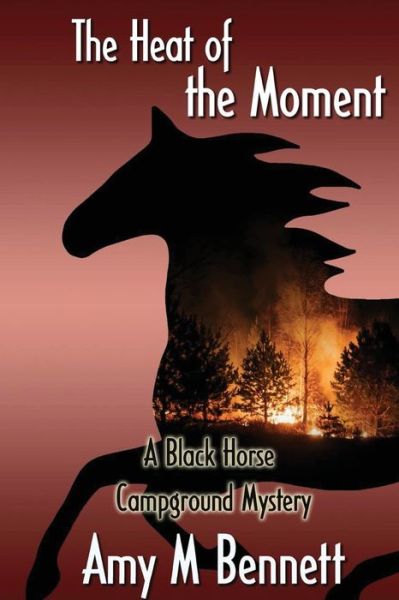 Cover for Amy M Bennett · In the Heat of the Moment (Paperback Book) (2022)