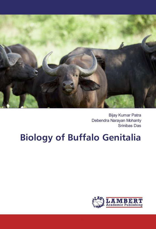 Biology of Buffalo Genitalia - Patra - Books -  - 9783659663857 - 