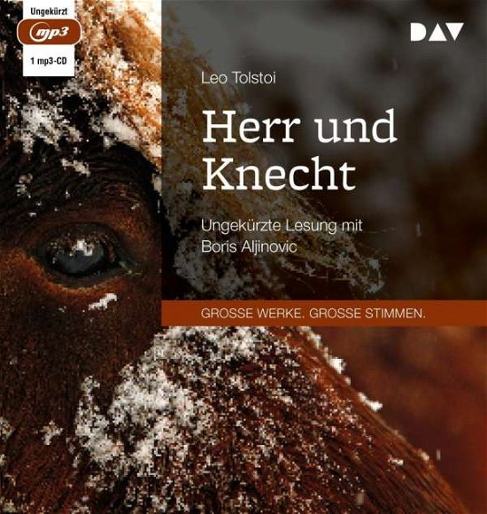 Cover for Leo Tolstoi · Herr und Knecht (CD)