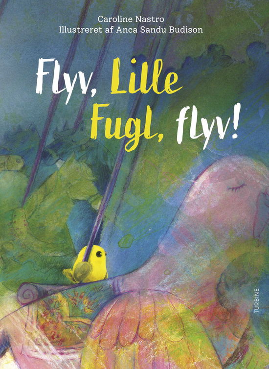 Caroline Nastro · Flyv, Lille Fugle, flyv! (Hardcover Book) [1e uitgave] (2022)