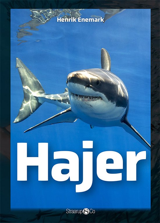 Cover for Henrik Enemark · Maxi: Hajer (Hardcover bog) [1. udgave] (2019)