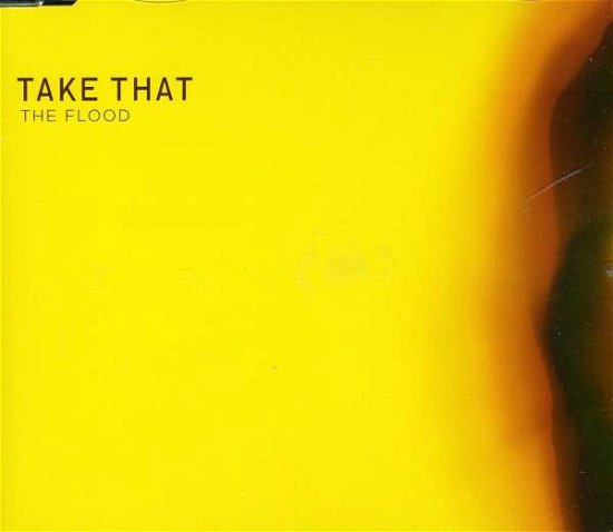 Cover for Take That · Flood (SCD) (2010)