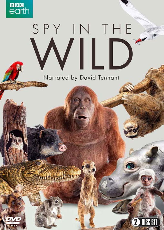 Cover for Spy in the Wild · Spy In The Wild Series 1 (DVD) (2017)