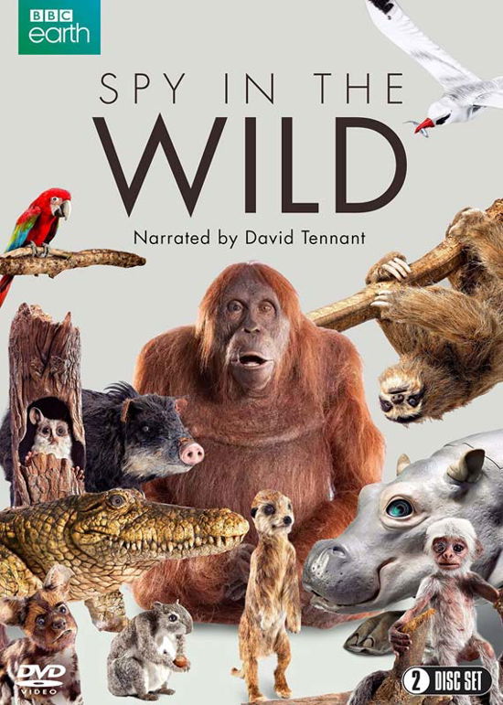Cover for Spy in the Wild · Spy In The Wild (DVD) (2017)