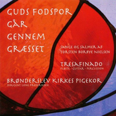 Cover for Brønderslev Kirkes Pigekor &amp; Tresafinado · Guds fodspor går gennem græsset (CD) (2010)