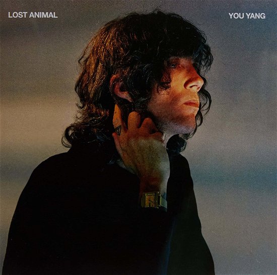 Cover for Lost Animal · You Yang (LP) (2019)
