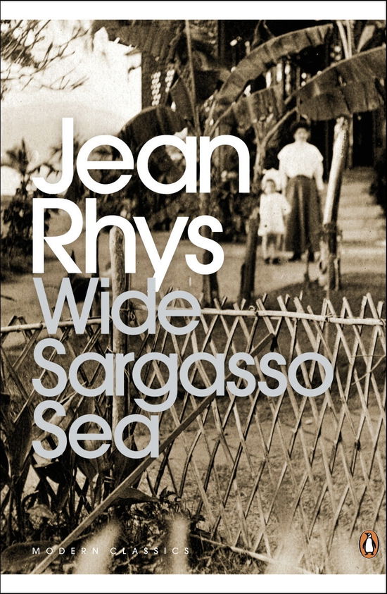 Wide Sargasso Sea - Penguin Modern Classics - Jean Rhys - Bøger - Penguin Books Ltd - 9780141182858 - 30. marts 2000