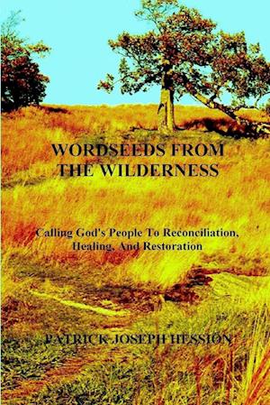 Cover for Patrick J. Hession · WORDSEEDS from the WILDERNESS - Calling God's People to Reconciliation, Healing, and Restoration (Book) (2005)