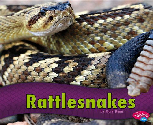 Cover for Mary R. Dunn · Rattlesnakes (Hardcover Book) (2013)