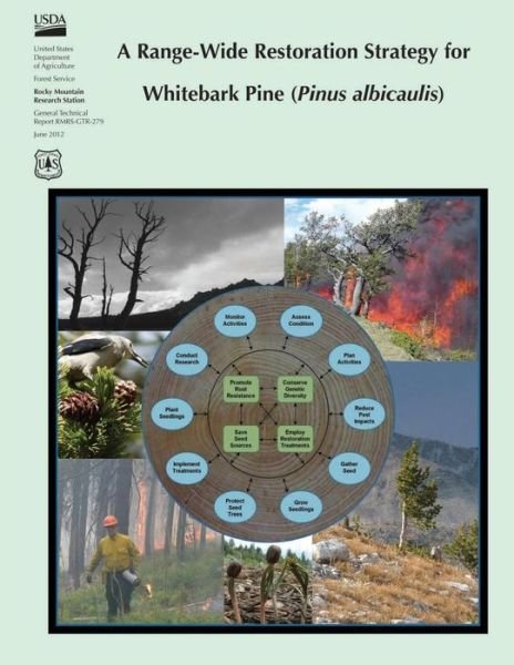 Cover for United States Department of Agriculture · A Range-wide Restoration Strategy for Whitebark Pine (Pinus Albicaulis) (Paperback Book) (2015)