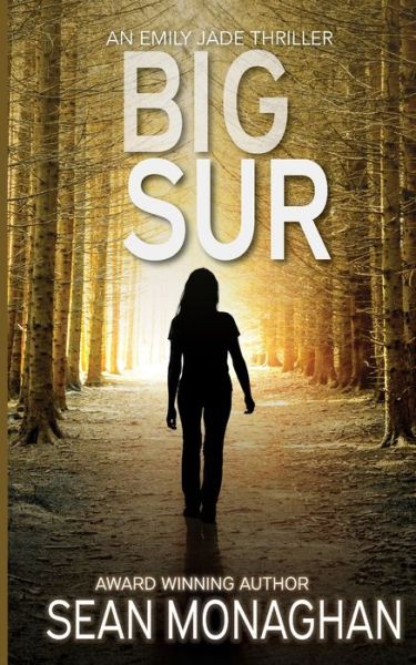 Cover for Sean Monaghan · Big Sur (Paperback Book) (2015)