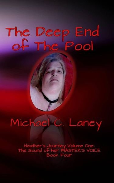 Cover for Michael C Laney · The Deep End of the Pool (Paperback Book) (2017)