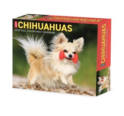 Chihuahuas 2023 Box Calendar - Willow Creek Press - Marchandise - Willow Creek Press - 9781549228858 - 7 septembre 2022