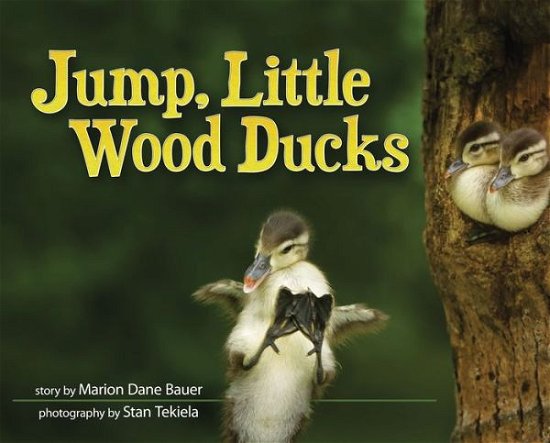 Cover for Marion Dane Bauer · Jump, Little Wood Ducks - Wildlife Picture Books (Hardcover Book) (2017)