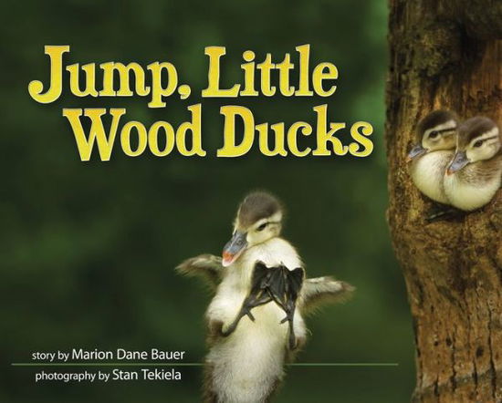 Jump, Little Wood Ducks - Wildlife Picture Books - Marion Dane Bauer - Books - Adventure Publications, Incorporated - 9781591935858 - April 11, 2017