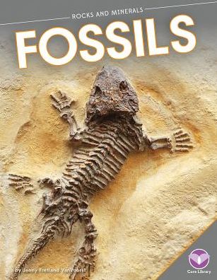 Cover for Jenny Fretland Vanvoorst · Fossils (Rocks and Minerals) (Hardcover Book) (2014)