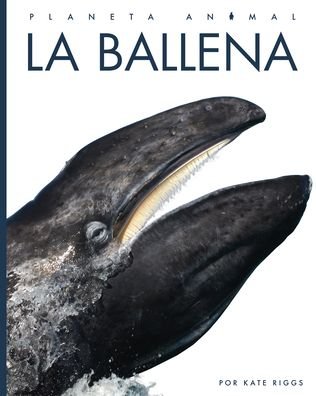 Cover for Kate Riggs · Ballena (Book) (2022)