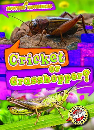 Cover for Mari C Schuh · Cricket or Grasshopper? (Hardcover Book) (2022)