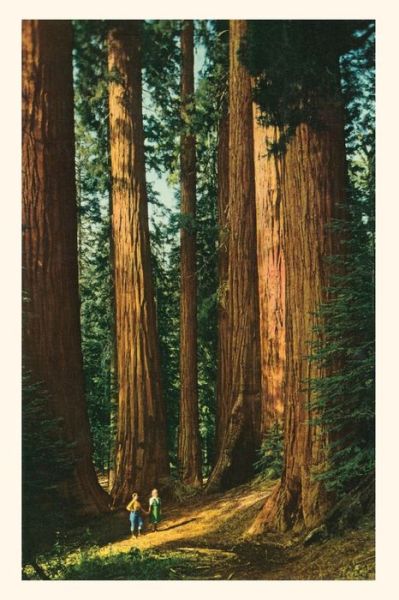 Cover for Found Image Press · The Vintage Journal Sequoia Trees (Paperback Book) (2022)