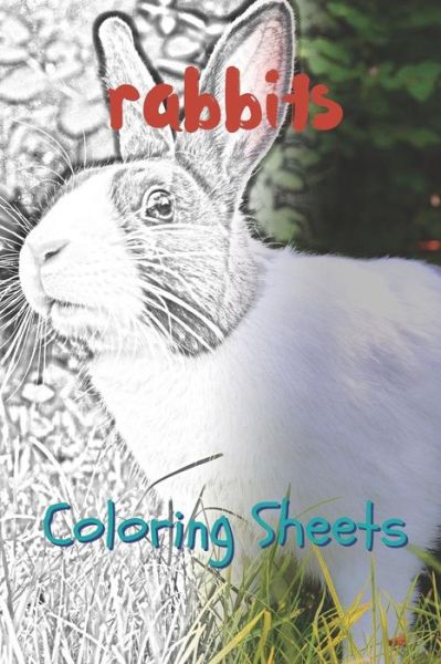 Rabbit Coloring Sheets - Julian Smith - Książki - Independently published - 9781797658858 - 20 lutego 2019