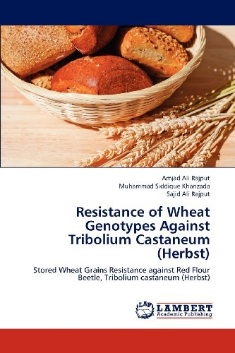 Cover for Sajid Ali Rajput · Resistance of Wheat Genotypes Against Tribolium Castaneum (Herbst): Stored Wheat Grains Resistance Against Red Flour Beetle, Tribolium Castaneum (Herbst) (Paperback Bog) (2012)