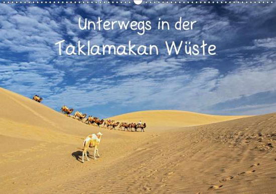 Cover for Berlin · Unterwegs in der Taklamakan Wüst (Bok)