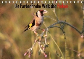 Cover for Erlwein · Die farbenfrohe Welt der Finken (Book)