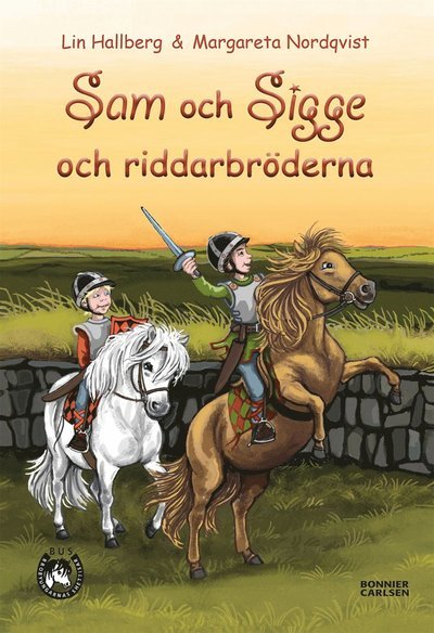 Sam och Sigge: Sam och Sigge och riddarbröderna - Lin Hallberg - Bøker - Bonnier Carlsen - 9789163880858 - 14. mars 2014