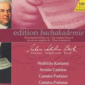 * - J. S. Bach - Musik - hänssler CLASSIC - 4010276011859 - 30 juli 2001