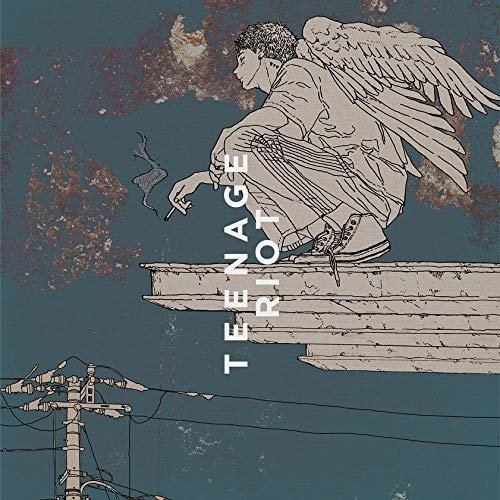 Cover for Kenshi Yonezu · Flamingo / Teenage Riot (CD) [Limited edition] (2018)