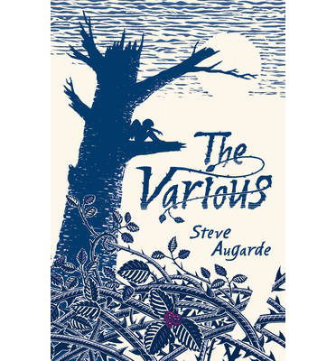 Cover for Steve Augarde · The Various: The Touchstone Trilogy - The Various (Paperback Book) (2014)