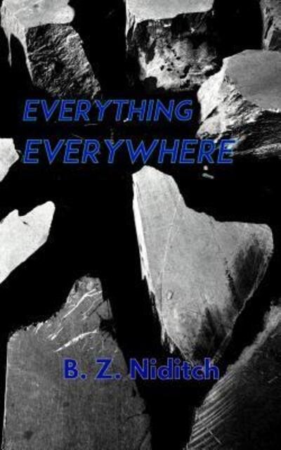 Cover for B Z Niditch · Everything, Everywhere (Paperback Bog) (2015)