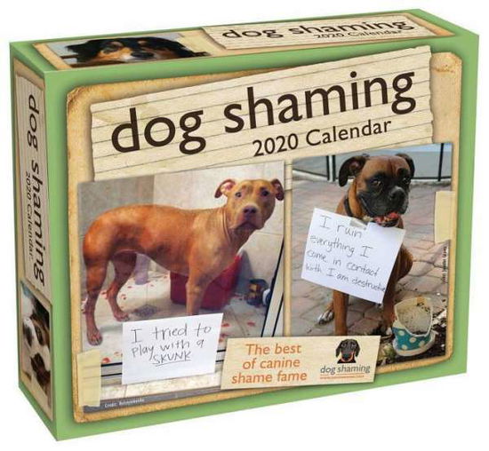 Dog Shaming 2020 Day-to-Day Calendar - Pascale Lemire - Merchandise - Andrews McMeel Publishing - 9781449497859 - July 2, 2019