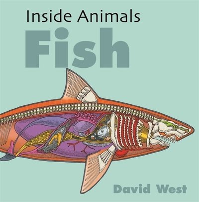 Cover for David West · Inside Animals: Fish - Inside Animals (Hardcover Book) (2019)