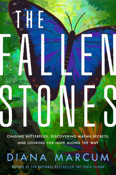 Cover for Diana Marcum · The Fallen Stones: Chasing Butterflies, Discovering Mayan Secrets, and Looking for Hope Along the Way (Gebundenes Buch) (2022)