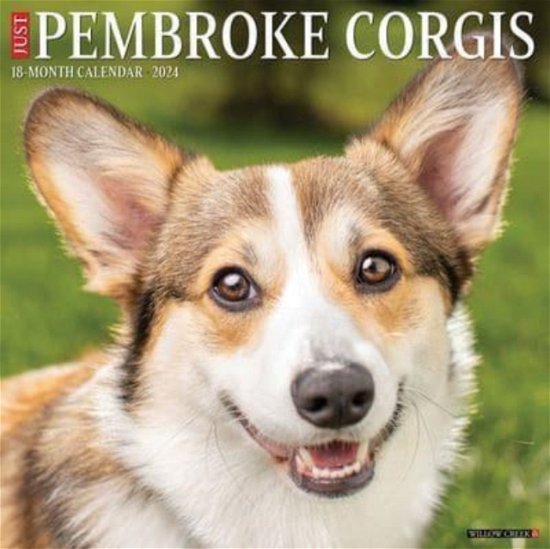Cover for Willow Creek Press · Just Pembroke Corgis 2024 12 X 12 Wall Calendar (Kalender) (2023)