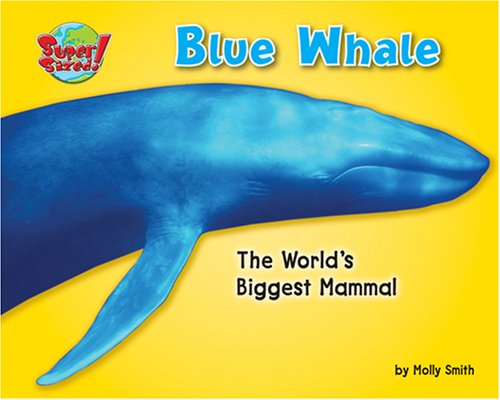 Cover for Molly Smith · Blue Whale: the World's Biggest Mammal (Supersized!) (Hardcover Book) (2007)