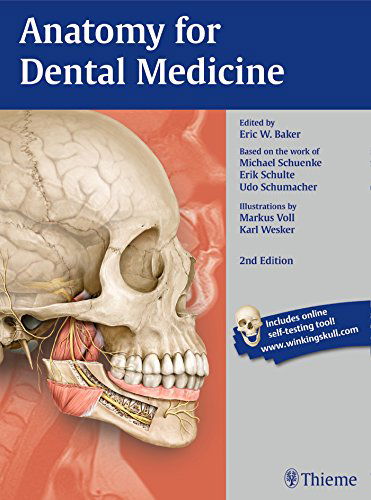 Cover for Michael Schuenke · Anatomy for Dental Medicine (Pocketbok) [2 New edition] (2015)