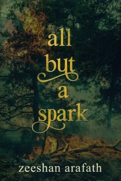 Cover for Zeeshan Arafath · All but a Spark (Paperback Book) (2018)