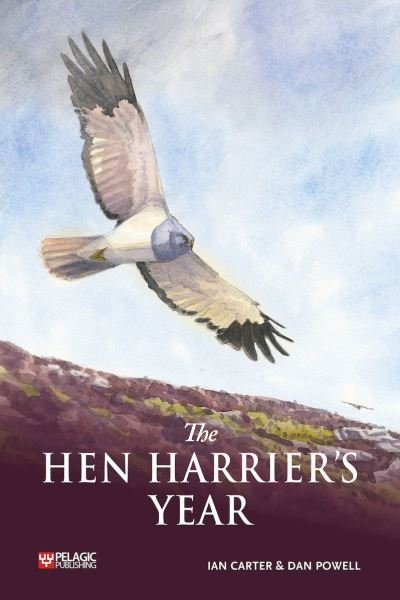 Cover for Ian Carter · The Hen Harrier's Year (Pocketbok) (2022)