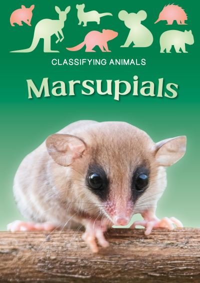 Cover for Madeline Tyler · Marsupials - Classifying Animals (Pocketbok) (2024)