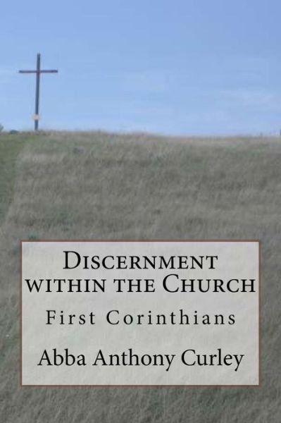 Cover for Abba Anthony Curley · Discernment within the Church (Pocketbok) (2017)