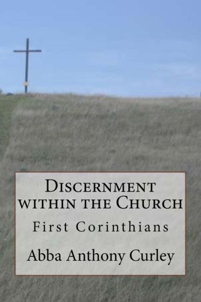 Cover for Abba Anthony Curley · Discernment within the Church (Paperback Book) (2017)