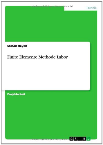 Cover for Heyen · Finite Elemente Methode Labor (Book) [German edition] (2013)