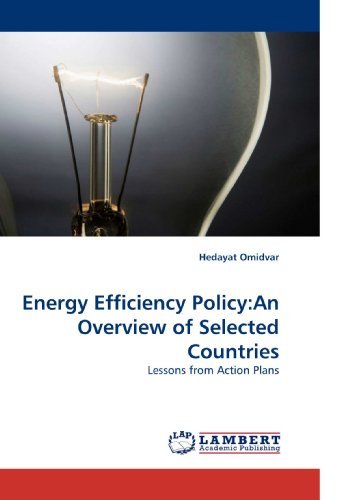 Cover for Hedayat Omidvar · Energy Efficiency Policy:an Overview of Selected Countries: Lessons from Action Plans (Paperback Book) (2010)