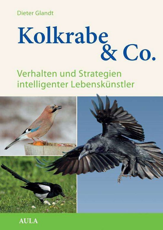 Cover for Glandt · Kolkrabe &amp; Co. (Book)